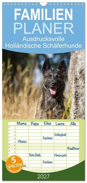 Familienplaner 2027 - ausdrucksvolle Holländische Schäferhunde mit 5 Spalten (Wandkalender, 21 x 45 cm) CALVENDO