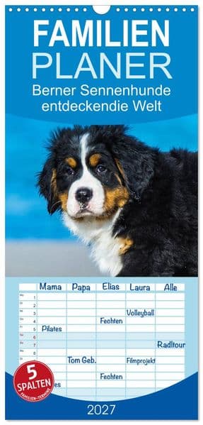 Familienplaner 2027 - Seebärchen entdecken die Welt - Berner Sennenhunde mit 5 Spalten (Wandkalender, 21 x 45 cm) CALVENDO