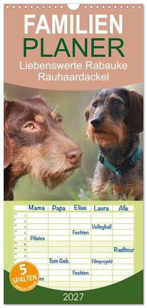 Familienplaner 2027 - Liebenswerte Rabauken - Rauhaardackel mit 5 Spalten (Wandkalender, 21 x 45 cm) CALVENDO