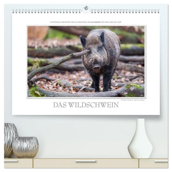 Emotionale Momente: Das Wildschwein. / CH-Version (hochwertiger Premium Wandkalender 2027 DIN A2 quer), Kunstdruck in Hochglanz