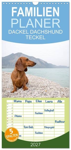 Familienplaner 2027 - DACKEL DACHSHUND TECKEL 2027 mit 5 Spalten (Wandkalender, 21 x 45 cm) CALVENDO