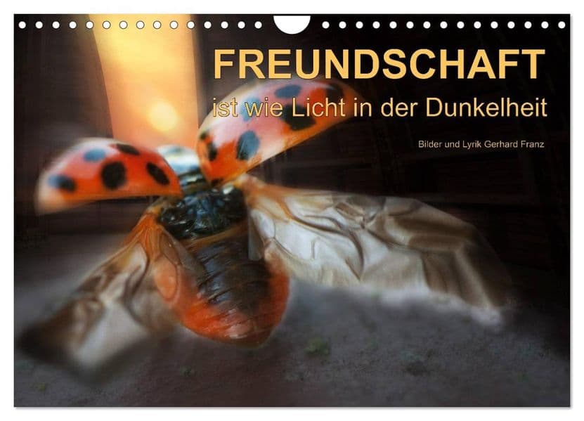 Freundschaft (Wandkalender 2027 DIN A4 quer), CALVENDO Monatskalender