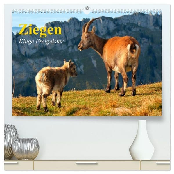 Ziegen. Kluge Freigeister (hochwertiger Premium Wandkalender 2027 DIN A2 quer), Kunstdruck in Hochglanz