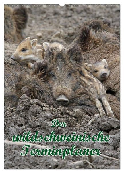 Der wildschweinische Terminplaner (Wandkalender 2027 DIN A2 hoch), CALVENDO Monatskalender