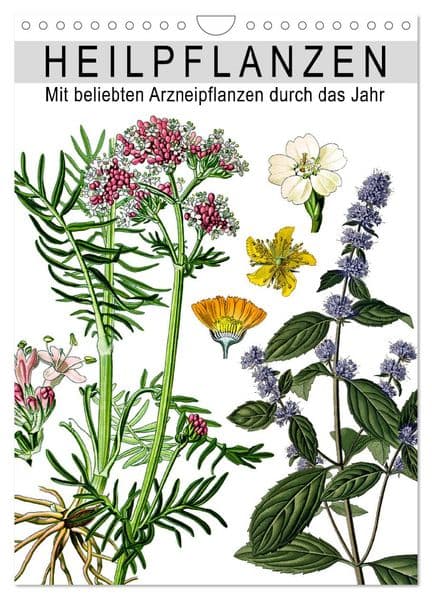 Heilpflanzen (Wandkalender 2027 DIN A4 hoch), CALVENDO Monatskalender