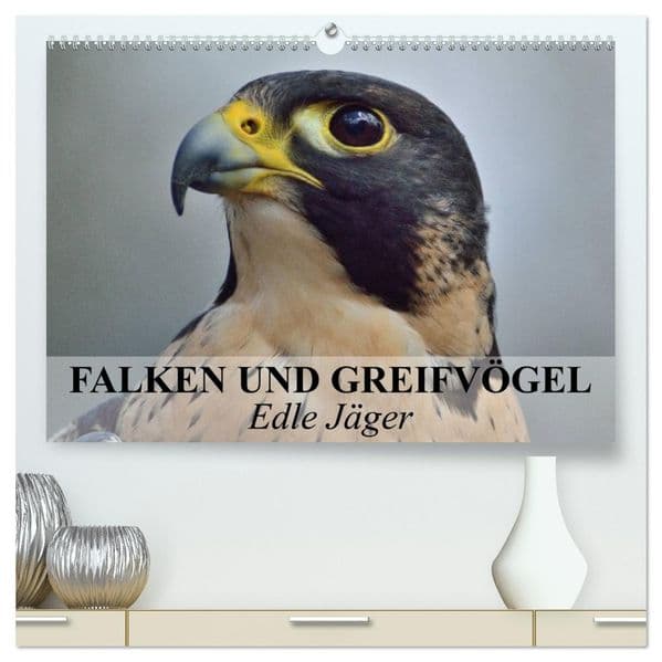 Falken und Greifvögel. Edle Jäger (hochwertiger Premium Wandkalender 2027 DIN A2 quer), Kunstdruck in Hochglanz