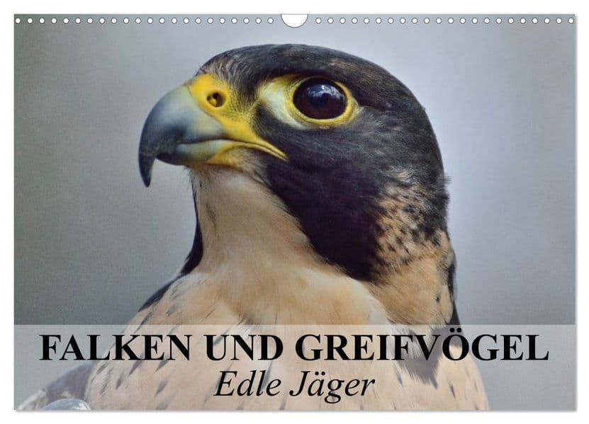 Falken und Greifvögel. Edle Jäger (Wandkalender 2027 DIN A3 quer), CALVENDO Monatskalender