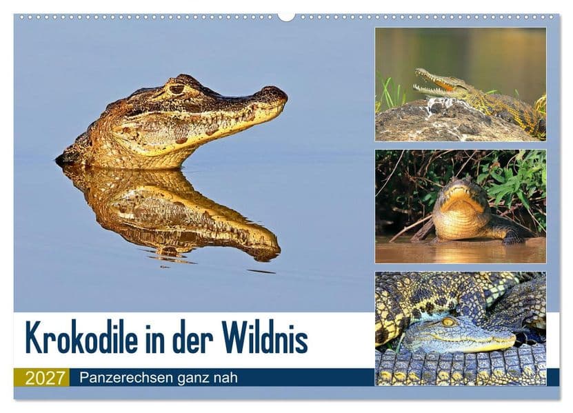 Krokodile in der Wildnis (Wandkalender 2027 DIN A2 quer), CALVENDO Monatskalender
