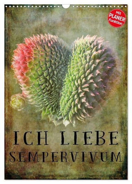 Ich liebe Sempervivum (Wandkalender 2027 DIN A3 hoch), CALVENDO Monatskalender: Der ideale Kalender für alle Sempervivum Liebhaber
