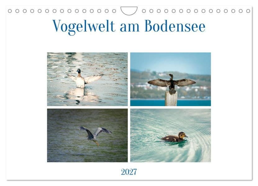 Vogelwelt am Bodensee 2027 (Wandkalender 2027 DIN A4 quer), CALVENDO Monatskalender: Typische Vögel am Bodensee