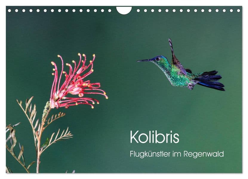 Kolibris - Flugkünstler im Regenwald (Wandkalender 2027 DIN A4 quer), CALVENDO Monatskalender