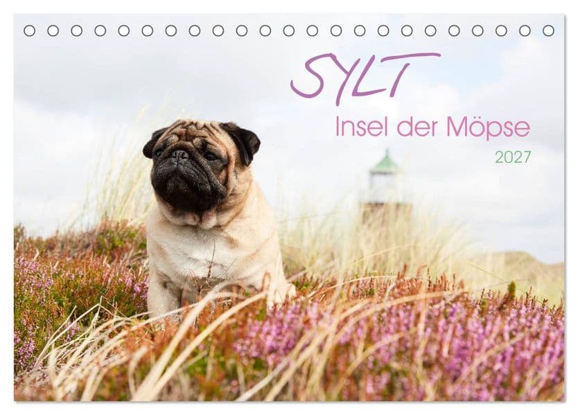 Sylt - Insel der Möpse (Tischkalender 2027 DIN A5 quer), CALVENDO Monatskalender