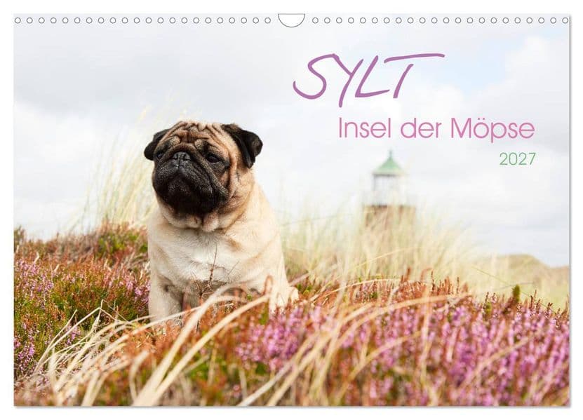 Sylt - Insel der Möpse (Wandkalender 2027 DIN A3 quer), CALVENDO Monatskalender
