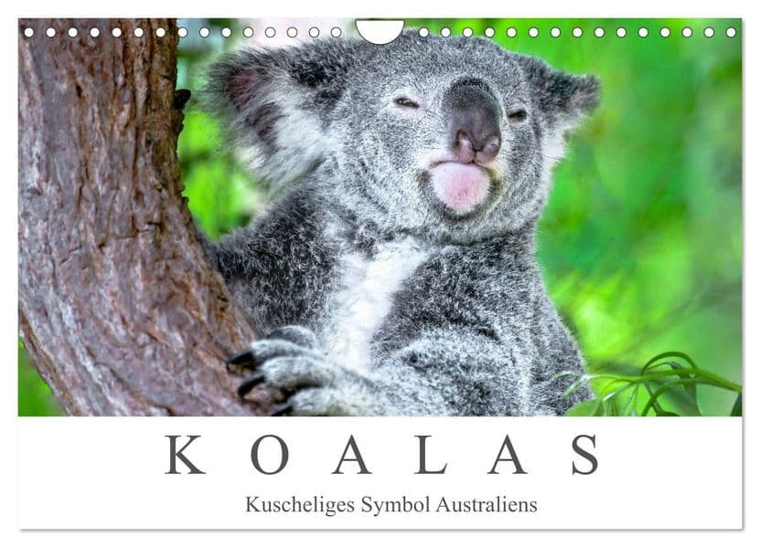 Koalas - Kuscheliges Symbol Australiens (Wandkalender 2027 DIN A4 quer), CALVENDO Monatskalender