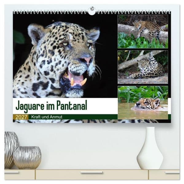 Jaguare im Pantanal (hochwertiger Premium Wandkalender 2027 DIN A2 quer), Kunstdruck in Hochglanz