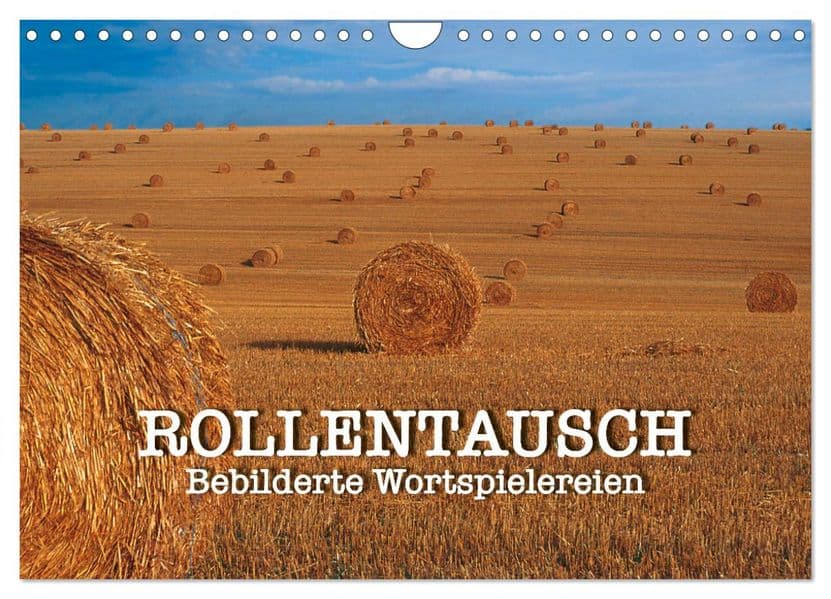 Rollentausch - Bebilderte Wortspielereien (Wandkalender 2027 DIN A4 quer), CALVENDO Monatskalender