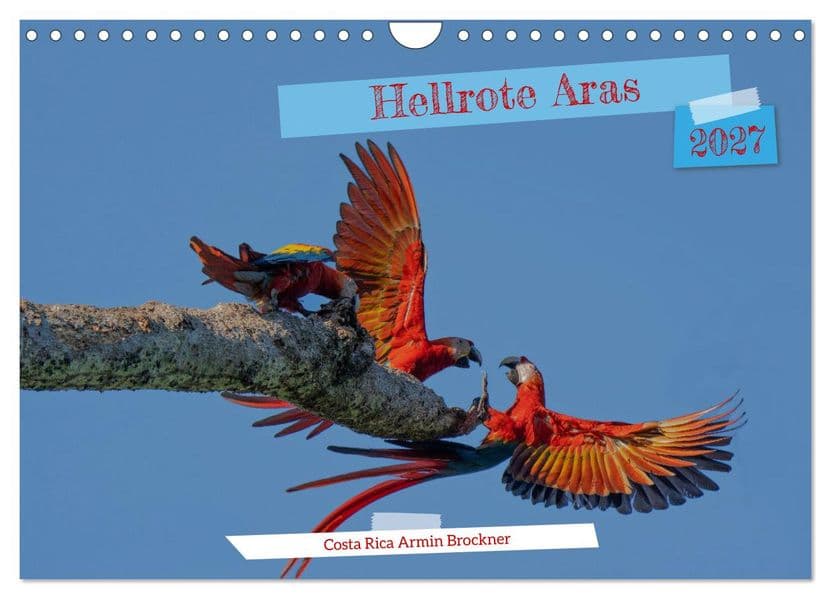 Hellrote Aras (Wandkalender 2027 DIN A4 quer), CALVENDO Monatskalender