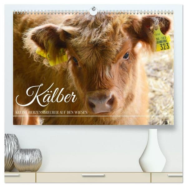 Kälber - Kleine Herzensbrecher auf den Wiesen (hochwertiger Premium Wandkalender 2027 DIN A2 quer), Kunstdruck in Hochglanz