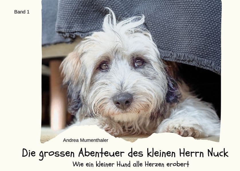 Die grossen Abenteuer des kleinen Herrn Nuck