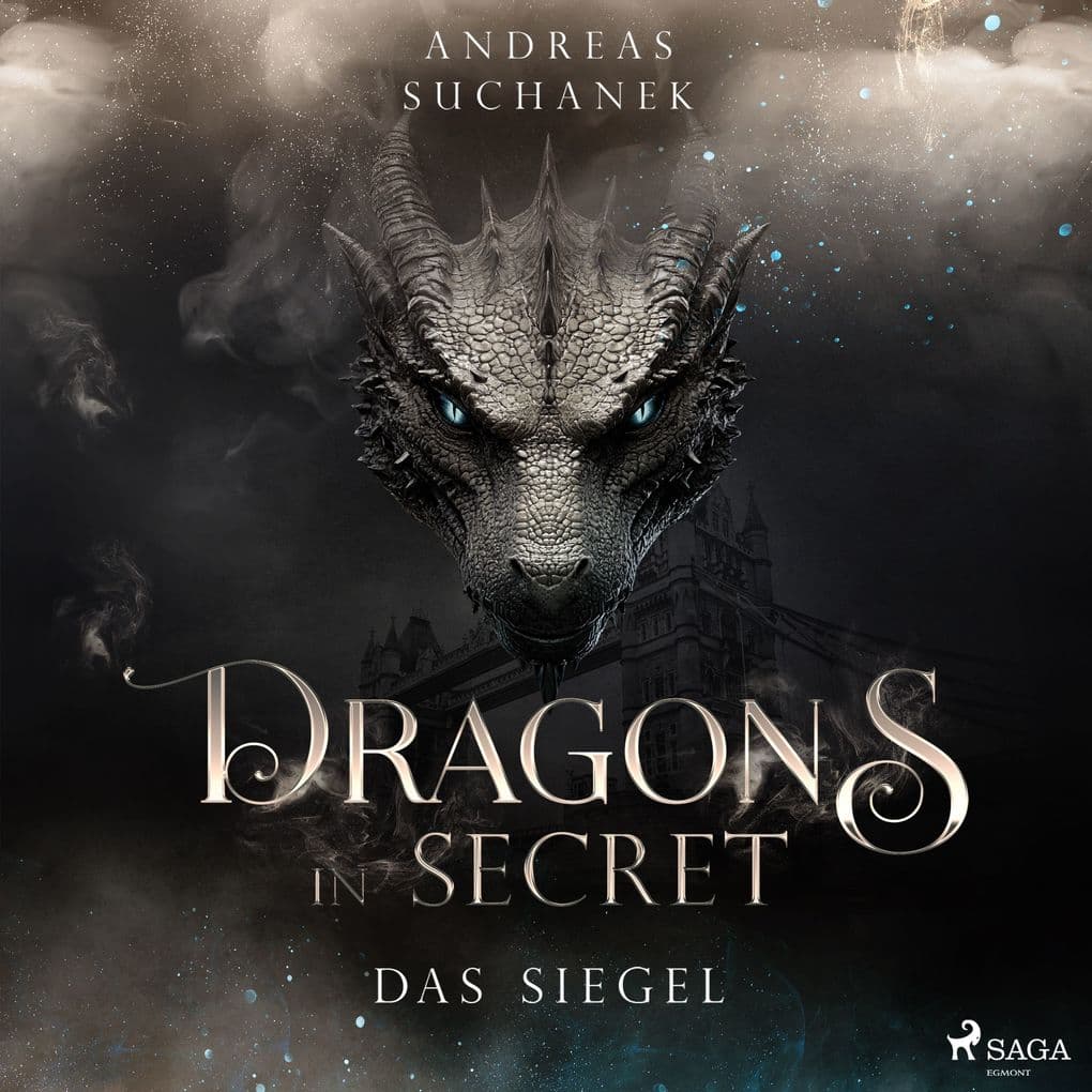 Dragons in Secret - Das Siegel