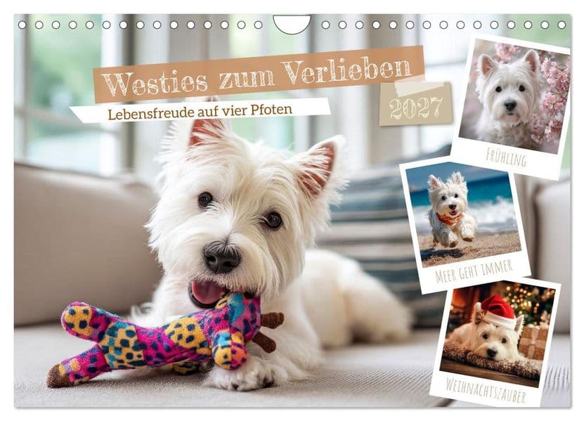 Westies zum Verlieben (Wandkalender 2027 DIN A4 quer), CALVENDO Monatskalender: Lebensfreude auf vier Pfoten