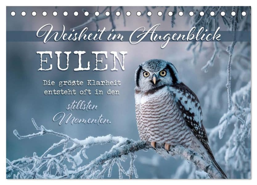 Eulen - Weisheit im Augenblick (Tischkalender 2027 DIN A5 quer), CALVENDO Monatskalender: Stille Impulse durch das Jahr