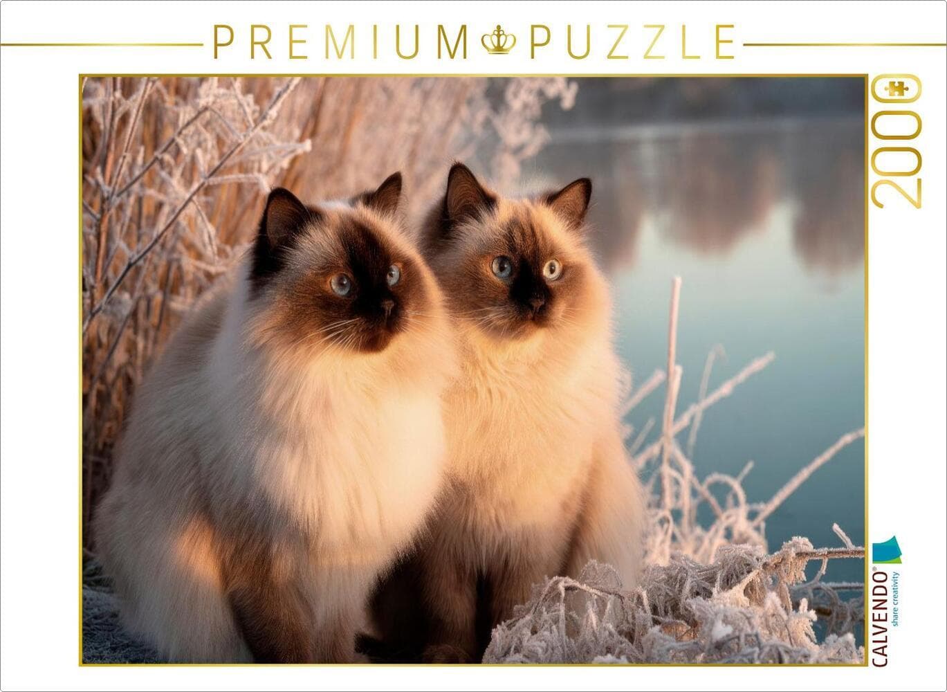 CALVENDO Puzzle Heilige Birma - Magische Wintermomente | 2000 Teile Lege-Größe 90 × 67 cm Foto-Puzzle für glückliche Stunden: Zusammen am See im Morgenlicht