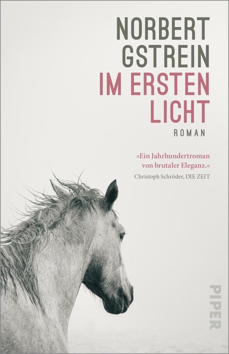 Im ersten Licht: Roman | 'Ein Jahrhundertroman von brutaler Eleganz.' Christoph Schröder, Die Zeit | Shortlist Österreichischer Buchpreis 2026