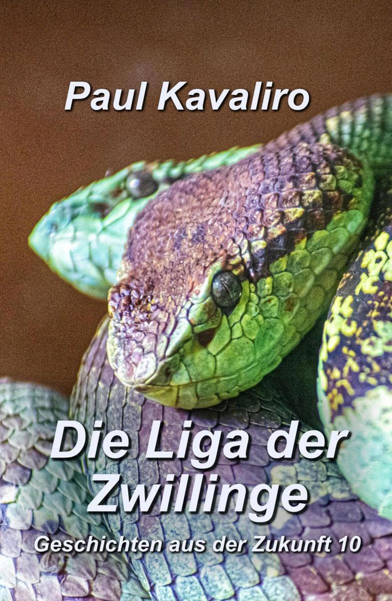 Die Liga der Zwillinge: Geschichten aus der Zukunft 10
