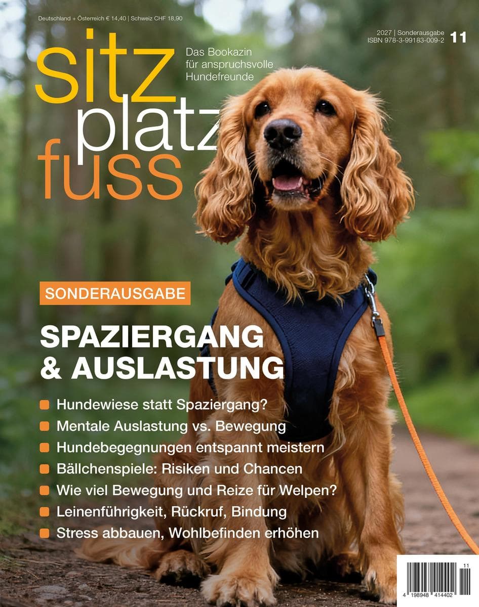 SitzPlatzFuss Sonderausgabe XI
