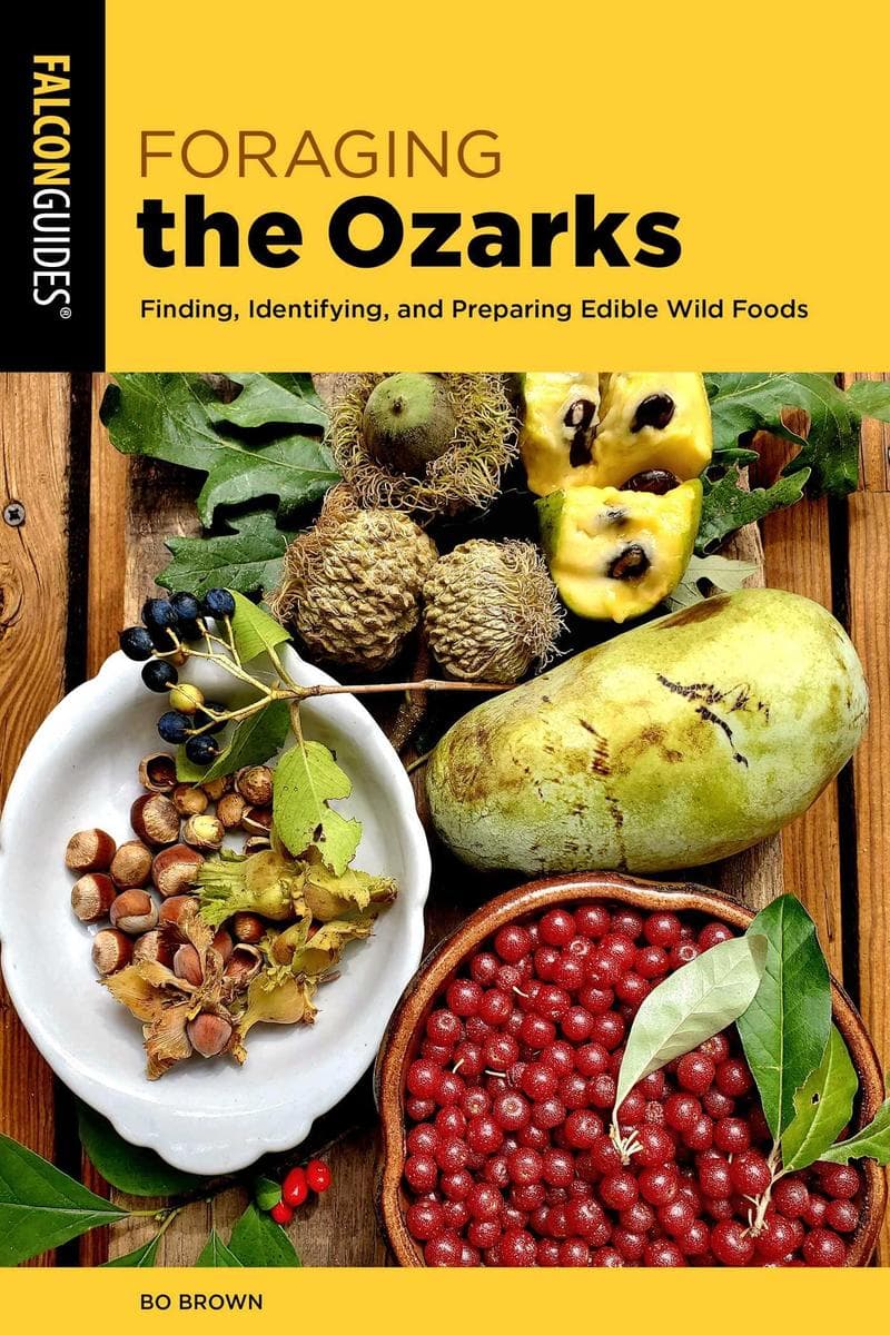 Foraging the Ozarks