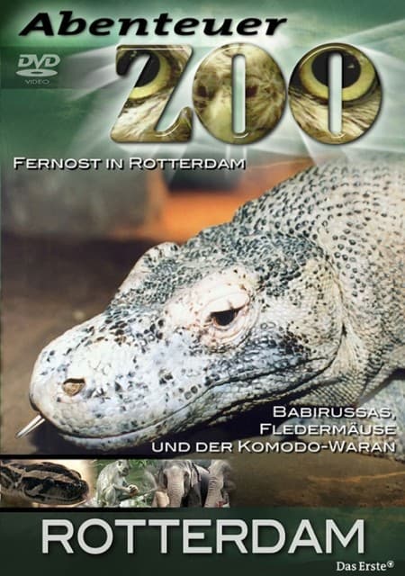 Abenteuer Zoo