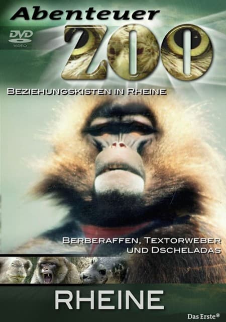 Rheine, 1 DVD