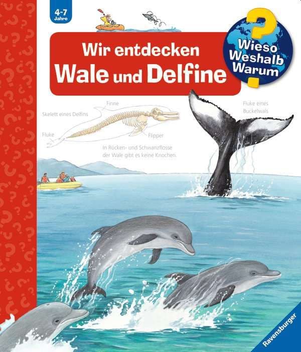 Wieso? Weshalb? Warum?, Band 41: Wir entdecken Wale und Delfine