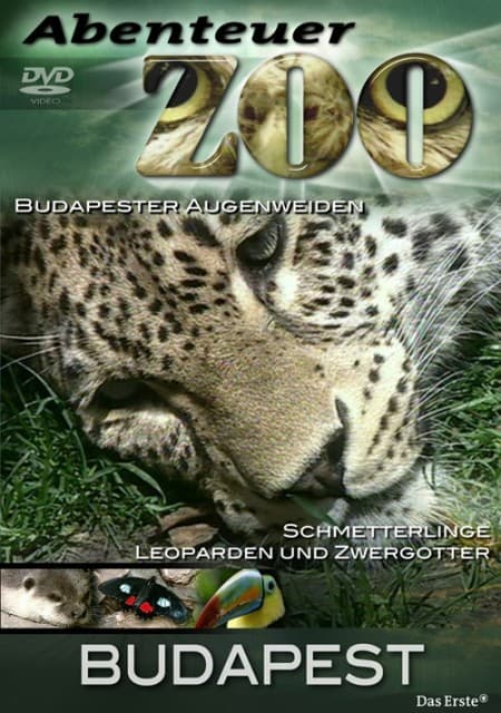 Abenteuer Zoo