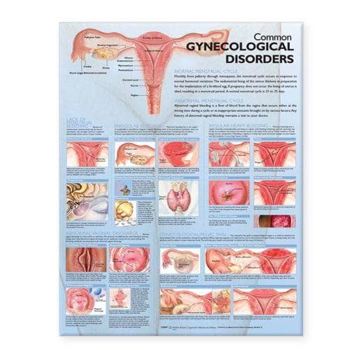 COMMON GYNECOLOGICAL DISORDERS PAPER CH