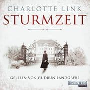 Sturmzeit Bd. 1
