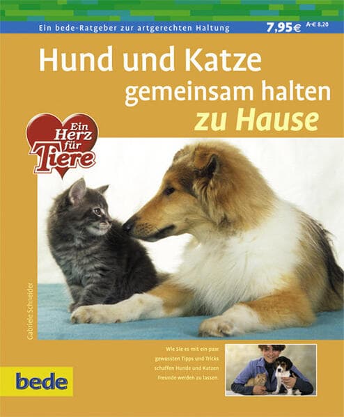 Hund und Katze gemeinsam halten