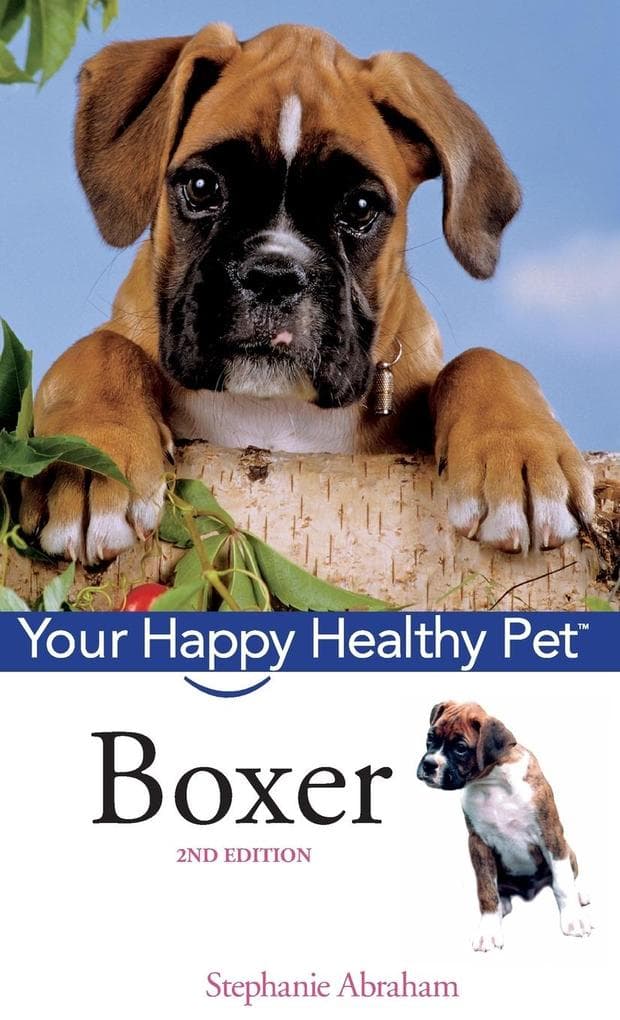 Boxer