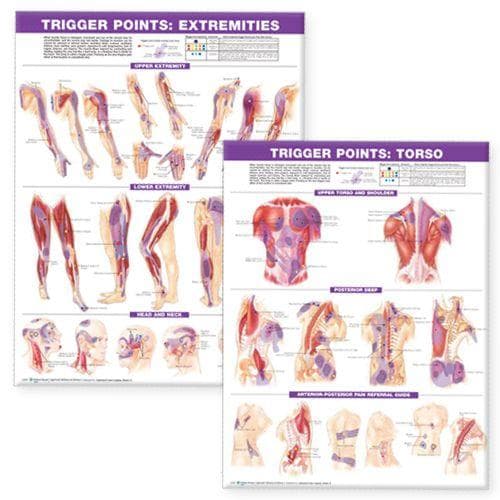 TRIGGER POINT CHART SET 2E PAPER