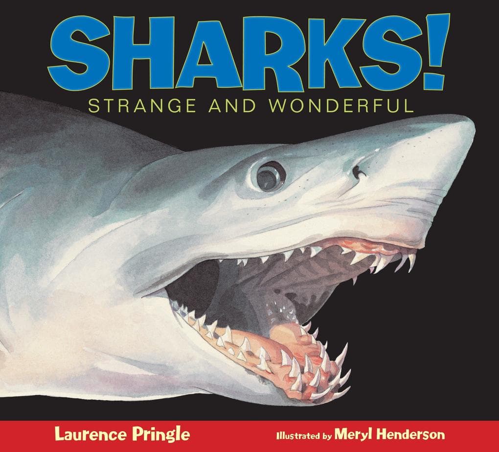 Sharks!: Strange and Wonderful