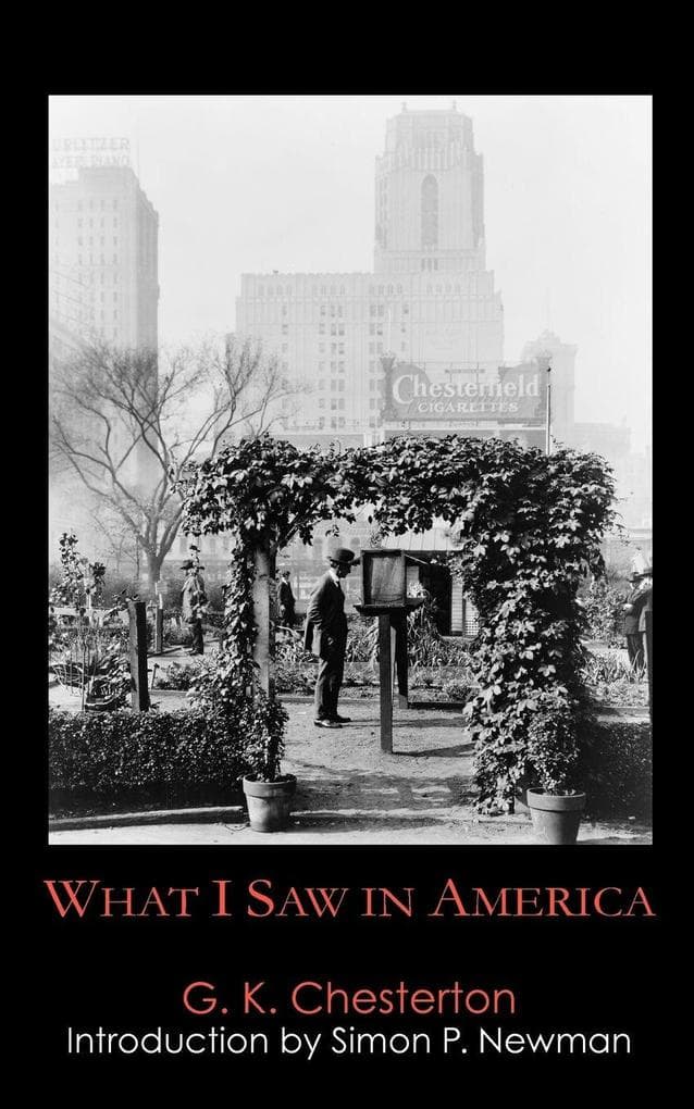 What I Saw in America