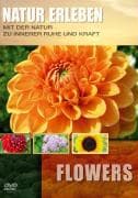 Natur erleben - Flowers