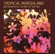Tropical Marshland