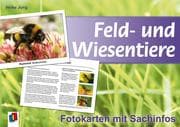 Feld- und Wiesentiere - Fotokarten mit Sachinfos
