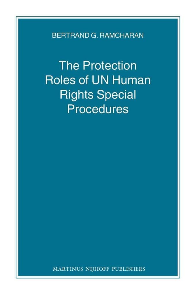 The Protection Roles of UN Human Rights Special Procedures