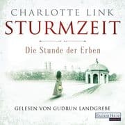Sturmzeit Bd. 3 - Die Stunde der Erben