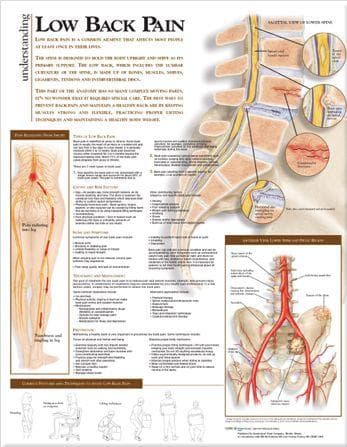 UNDERSTANDING LOWER BACK PAIN PAPER