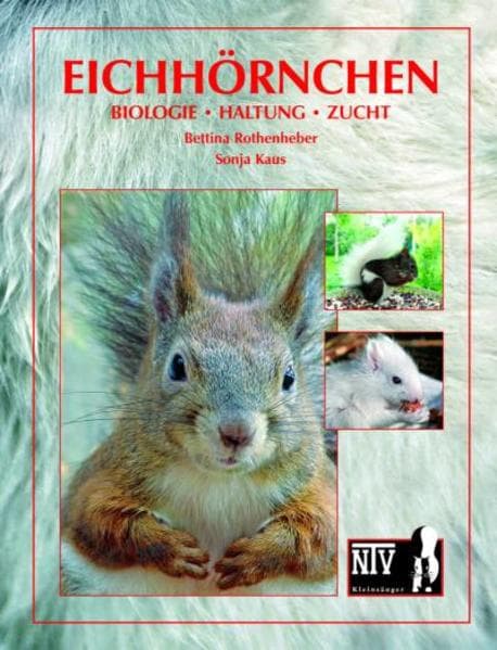Eichhörnchen