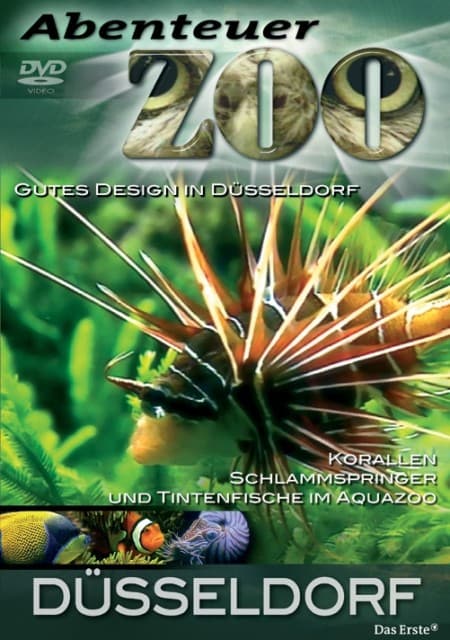 Düsseldorf, 1 DVD